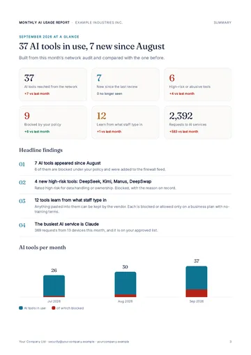 Page 3: Usage report: this month at a glance