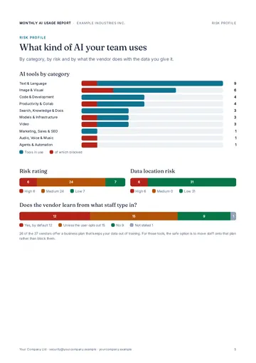 Page 5: Usage report: risk profile